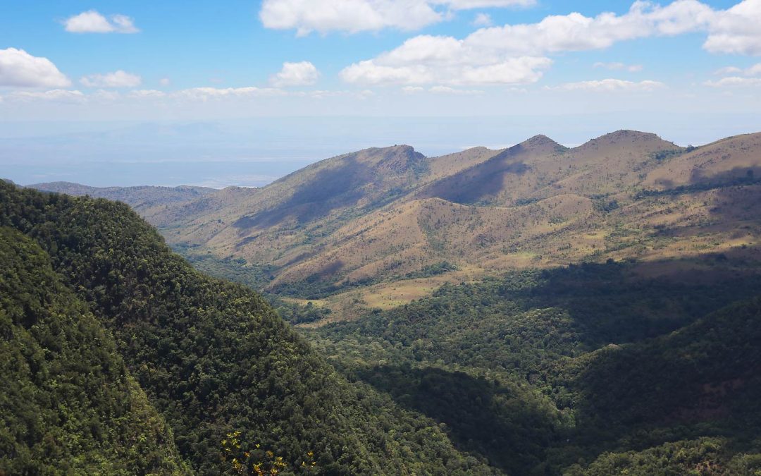 Mt Kipipiri Hike