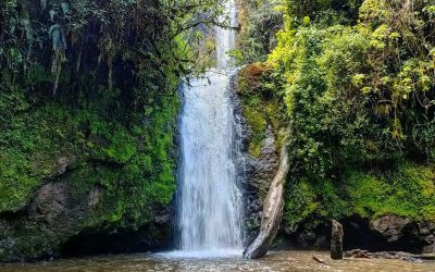 Mackinders Hike – Mt. Kenya