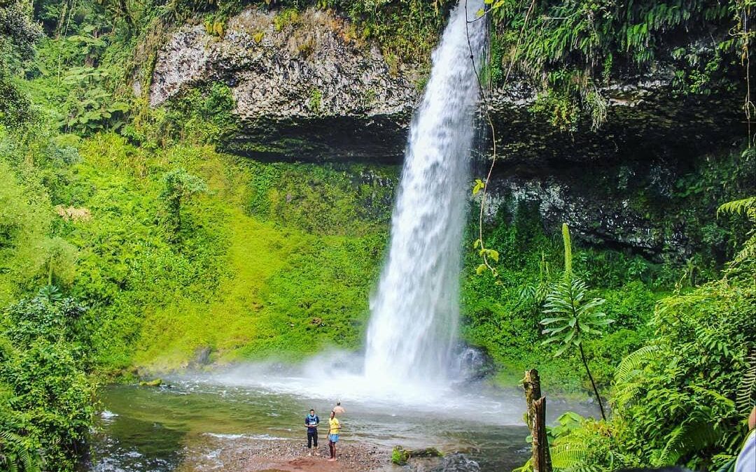 Njigari Forest/Thuti Falls/ Wandai Falls and Kahuhu Falls 