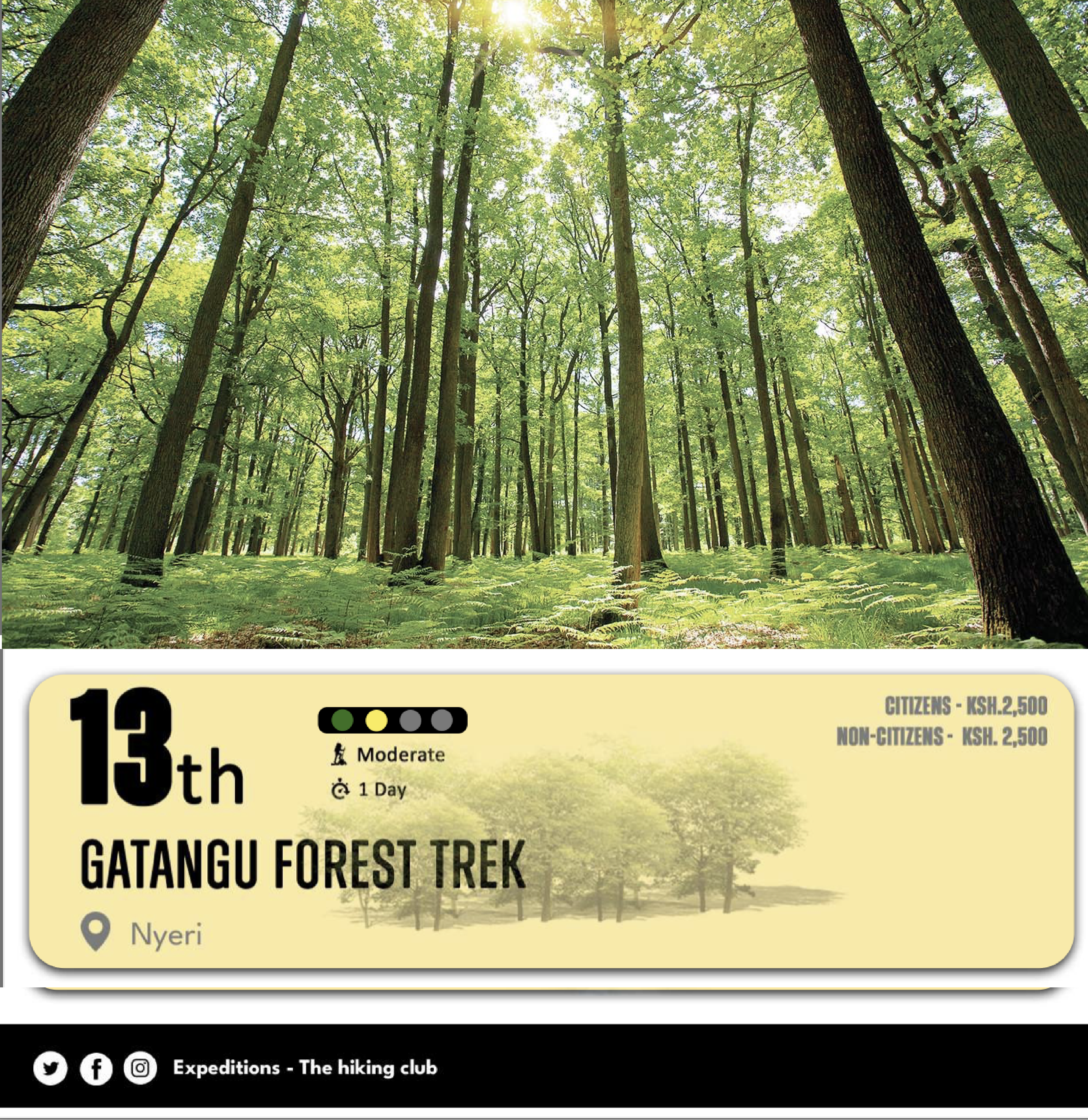 Gatangu Forest Trek